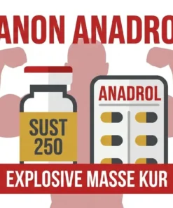 Sustanon + Anadrol Kur