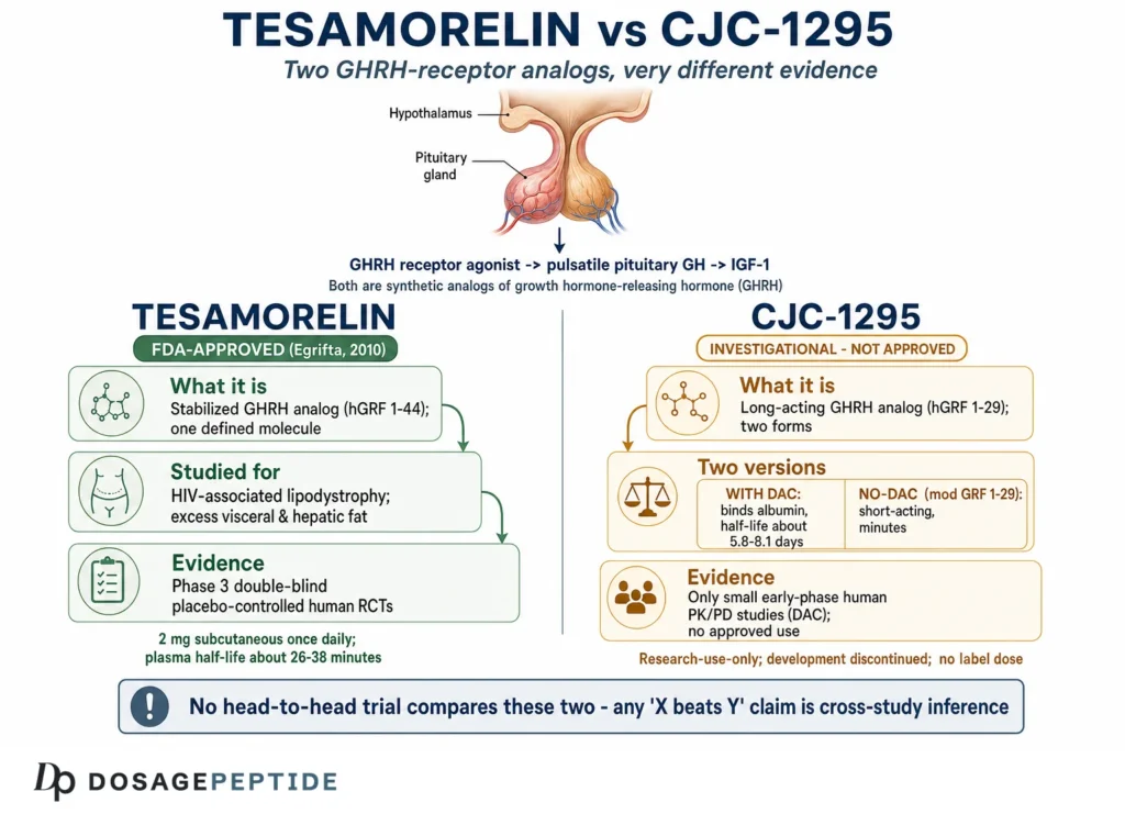 Tesamorelin vs. CJC-1295: Der ehrliche Vergleich zweier GHRH-Peptide